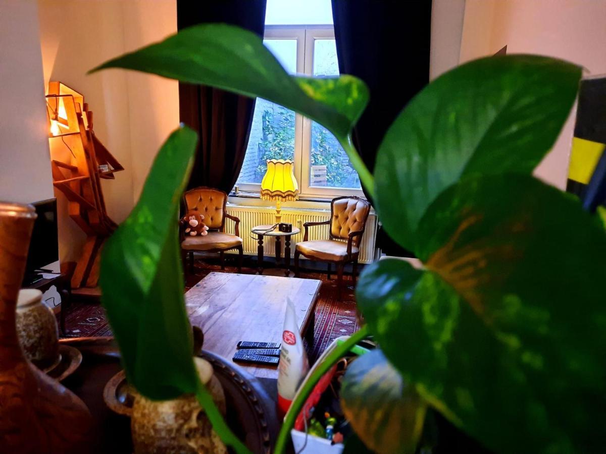 לייז' Appartement Ambiance Chalet מראה חיצוני תמונה