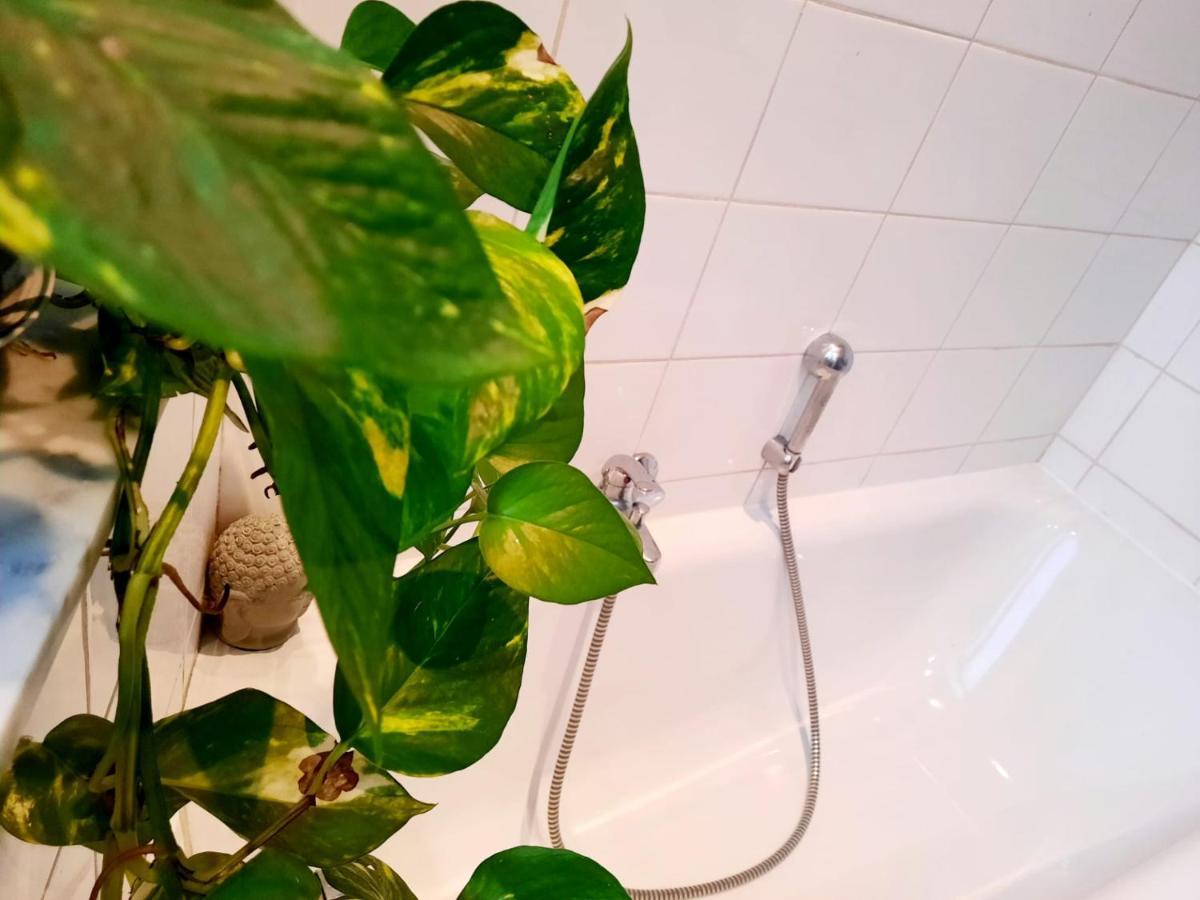 לייז' Appartement Ambiance Chalet מראה חיצוני תמונה